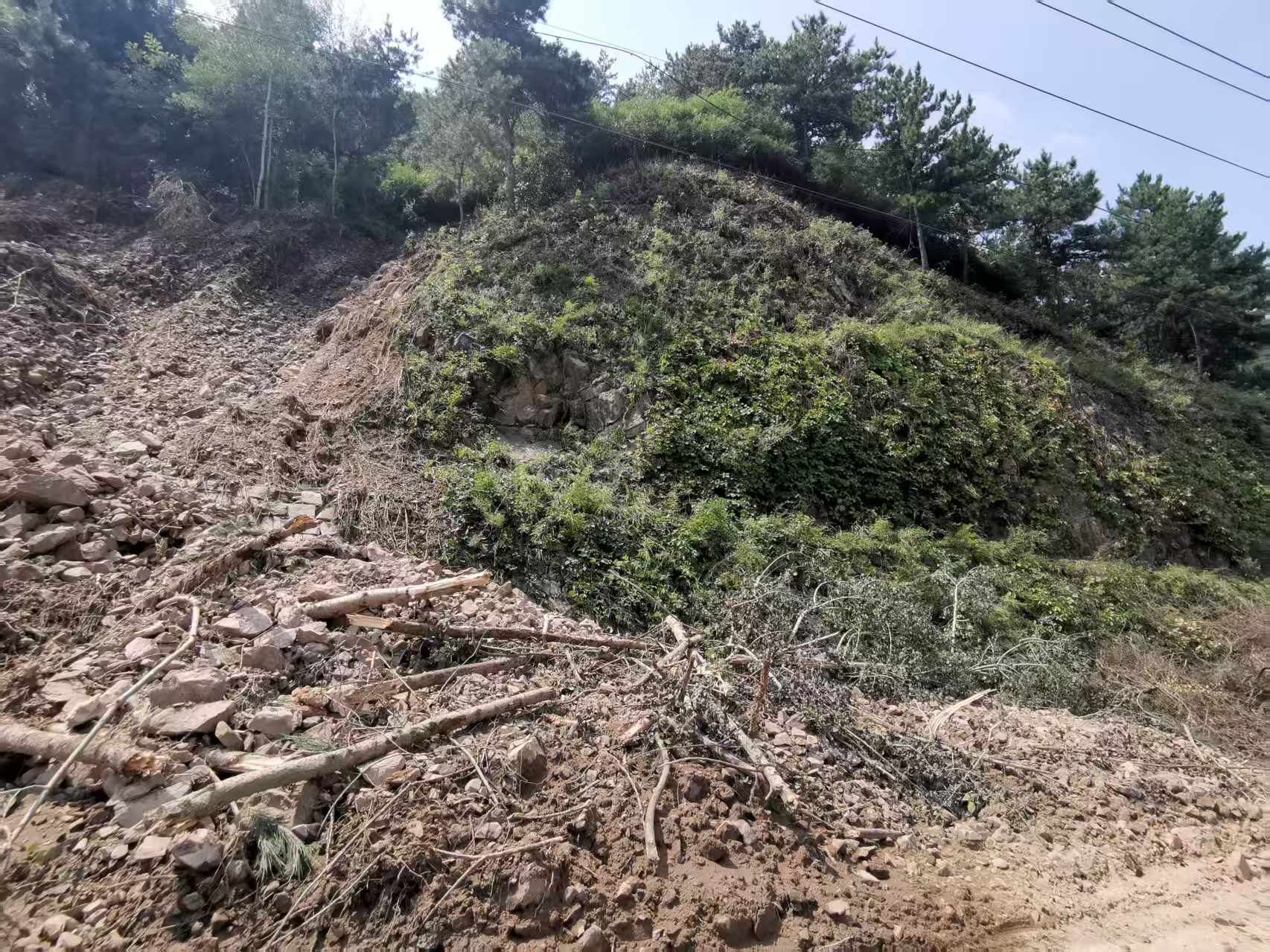 bti体育平台·(中国)官方网站